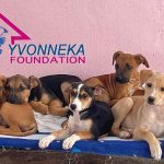 YvonnekaFoundation