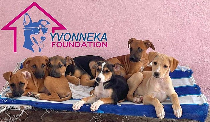 Luncheon to Support Puppy Paradise, Wednesday, April 27