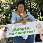 adopta