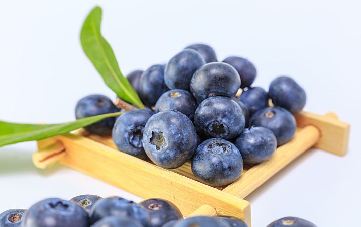 The Amazing Health and Beauty Benefits of Blueberries