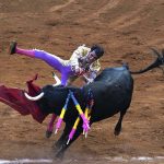 bullfighting