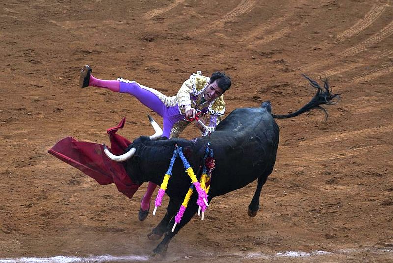 Mexico City Ban on Bullfighting Extended Indefinitely