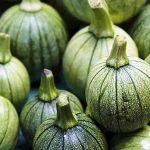 calabaza-squash