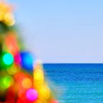 christmas-trees-puerto-vallarta