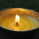citronella