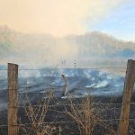 devastating-wildfires