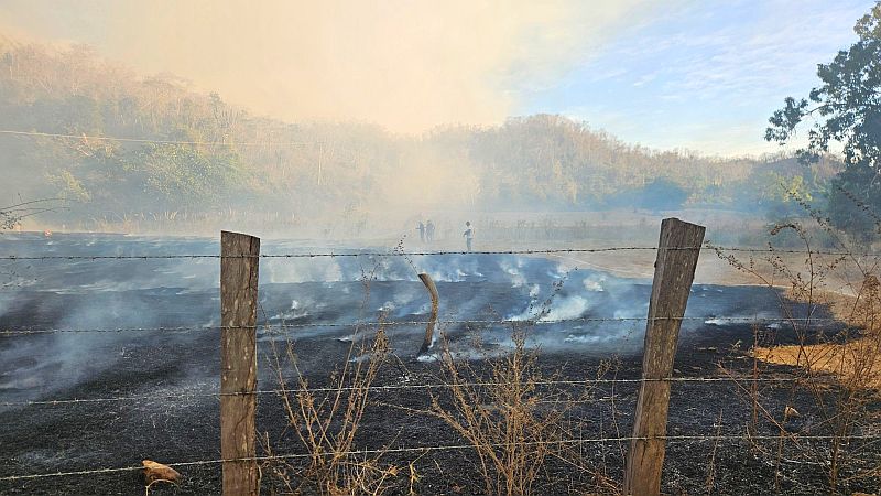 Fires Near Puerto Vallarta Leave Families in Urgent Need