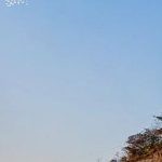 fireride-festival-2022