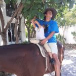 horse-therapy