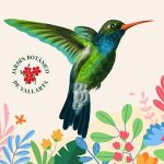 hummingbird-week