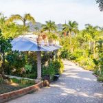 jardin-botanico