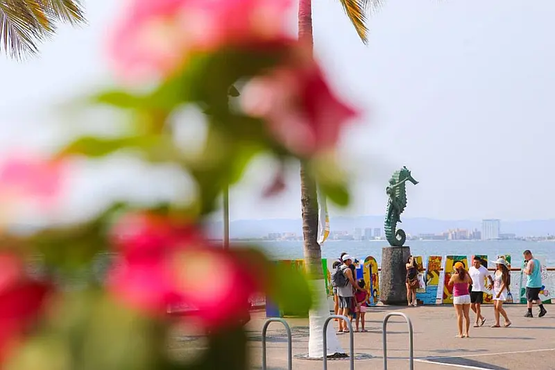 Puerto Vallarta Restores Services, Reopens Economy Puerto Vallarta Restores Services, Reopens Economy