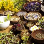 medicinal-herbs