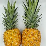 pineapples