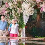 retire-vallarta-1