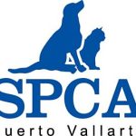 spcadepv