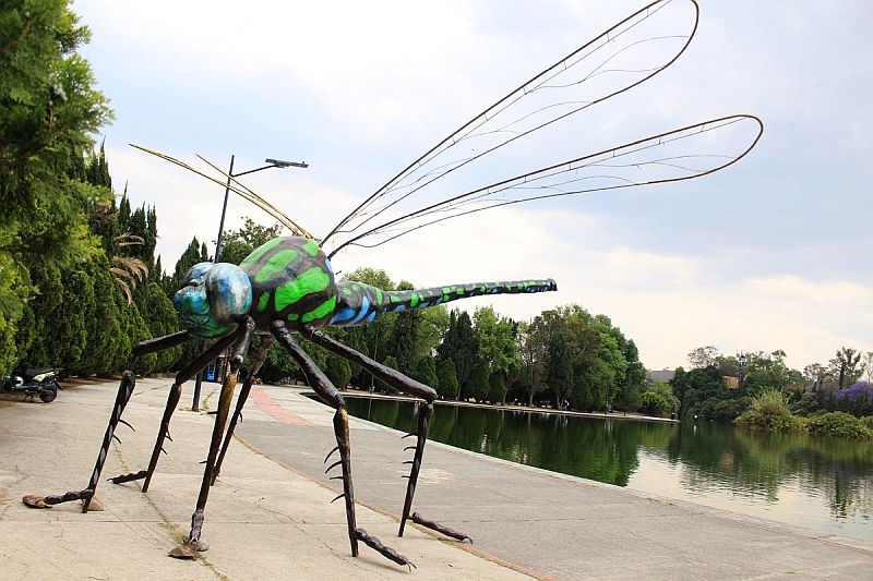 Giant Insect Sculpture Exhibition at Chapultepec Botanical Gardens