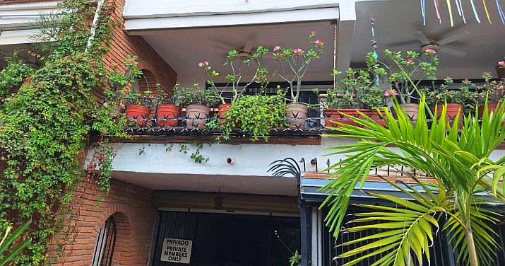 Mexico Homeowner Tips: Best Plants for Patio Gardens