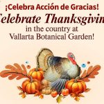 vbg-thanksgiving24