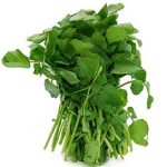 watercress