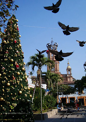 Christmas in Puerto Vallarta, Mexico